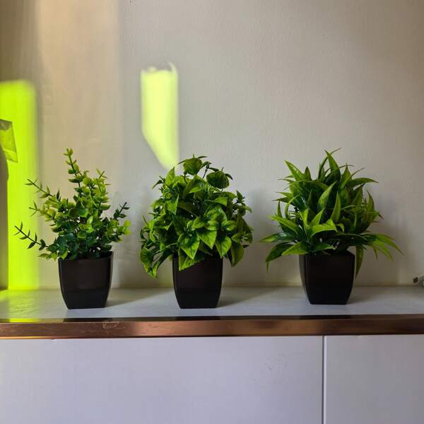 3 stuks zwarte plantenbak met kunstmatige eucalyptusboom, mini nep groene plantenpotten voor binnen, thuis, op kantoor, in huis, badkamer, eettafeldecoratie, cadeaus voor verjaardagen, afstuderen, tuindecoratie, buitenplanten, tuinieren, nepbloemen