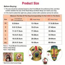 可调节黑色小型犬口套，带透气网眼、反光防咬防吠带 - 舒适尼龙材质，可饮用设计，夜间安全，适用于小型犬，佩戴舒适，面料柔软，耐用