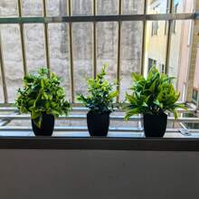 3PCS Mini Artificial Eucalyptus With Black Pots, Small Fake Greenery Bonsai For Home Office Bedroom Bathroom Indoor Decor - Multicolor - View 8