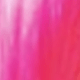 Rosa Fucsia