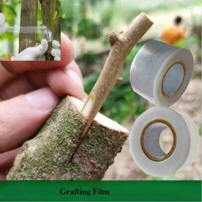 1pc Stretchy Fruit Tree Grafting Tape, Plant Repair Budding Tapes With Various Elasticity