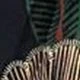 preta flor