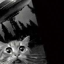 Scared Cat Comfortable Mesh T-Shirt 30.1 Various Sizes - 黑色 - 查看 3