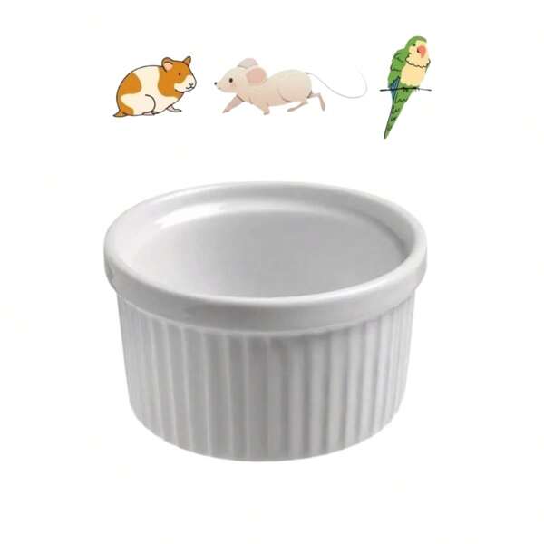 Pote Comedouro Pássaros E Roedores