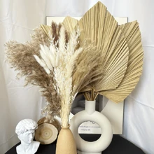 A Set Of 45pcs Of Dried Pampas Grass Decorations, Including 4 Dried Palm Leaves, Large Dried Palm Spears, And Dried Flower Bouquets Suitable For Bohemian Weddings, Home Parties, Kitchen Vases, Farmhouse Table Arrangements, And Anniversary Decorations. Gifts Birthday Graduation,Fall Decor,Autumn - Beige - View 5