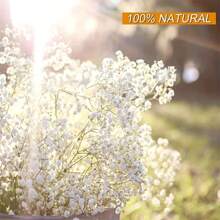 80G Dried Bouquet Gypsophila Paniculata White Suitable For Wedding Decorations Home Decorations Candle Making And Home Decoration | Housewares Ideal For Weddings, Valentine'S Day, Christmas, Thanksgiving Gifts Birthday Graduation