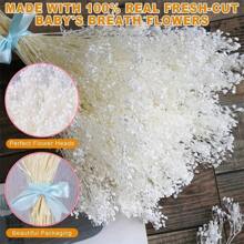 80G Dried Bouquet Gypsophila Paniculata White Suitable For Wedding Decorations Home Decorations Candle Making And Home Decoration | Housewares Ideal For Weddings, Valentine'S Day, Christmas, Thanksgiving Gifts Birthday Graduation