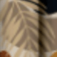 BRUJAS