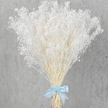80G Dried Bouquet Gypsophila Paniculata White Suitable For Wedding Decorations Home Decorations Candle Making And Home Decoration | Housewares Ideal For Weddings, Valentine'S Day, Christmas, Thanksgiving Gifts Birthday Graduation