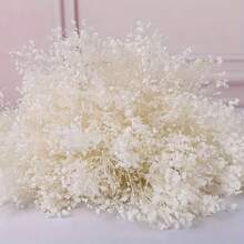 80G Dried Bouquet Gypsophila Paniculata White Suitable For Wedding Decorations Home Decorations Candle Making And Home Decoration | Housewares Ideal For Weddings, Valentine'S Day, Christmas, Thanksgiving Gifts Birthday Graduation