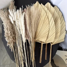 A Set Of 45pcs Of Dried Pampas Grass Decorations, Including 4 Dried Palm Leaves, Large Dried Palm Spears, And Dried Flower Bouquets Suitable For Bohemian Weddings, Home Parties, Kitchen Vases, Farmhouse Table Arrangements, And Anniversary Decorations. Gifts Birthday Graduation,Fall Decor,Autumn - Beige - View 3
