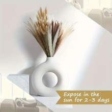 27/38/45/100/110/200 Pcs Artificial Pampas Grass Bohemian Style Dried Flowers Bundle - 50 Stems Pampas Decor, 30 Natural Dried Feather Grass, 120 Natural Bunny Tails For Versatile Rattan Tabletop Decor - Beige - View 3