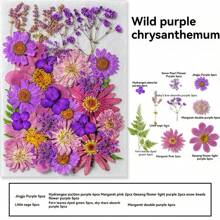 35pcs Dried Pressed Flowers For Resin Molds, Real Pressed Flowers Dry Leaves Kit For Art Crafts Resin Jewelry Making Scrapbook Supplies Card Making Soap Candle DIY Nails Decor| Valentine Day's Gift| Couple Gift| Christmas Gift Xmas Gift| Halloween Gift Decor