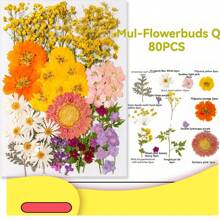 35pcs Dried Pressed Flowers For Resin Molds, Real Pressed Flowers Dry Leaves Kit For Art Crafts Resin Jewelry Making Scrapbook Supplies Card Making Soap Candle DIY Nails Decor| Valentine Day's Gift| Couple Gift| Christmas Gift Xmas Gift| Halloween Gift Decor