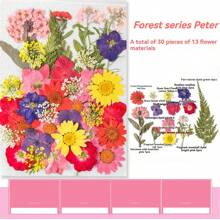 35pcs Dried Pressed Flowers For Resin Molds, Real Pressed Flowers Dry Leaves Kit For Art Crafts Resin Jewelry Making Scrapbook Supplies Card Making Soap Candle DIY Nails Decor| Valentine Day's Gift| Couple Gift| Christmas Gift Xmas Gift| Halloween Gift Decor