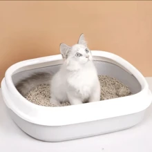 Cat Litter Ecofriend Dif Aromas 6lt Tofu - Orange - View 5