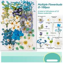 35pcs Dried Pressed Flowers For Resin Molds, Real Pressed Flowers Dry Leaves Kit For Art Crafts Resin Jewelry Making Scrapbook Supplies Card Making Soap Candle DIY Nails Decor| Valentine Day's Gift| Couple Gift| Christmas Gift Xmas Gift| Halloween Gift Decor