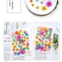 35pcs Dried Pressed Flowers For Resin Molds, Real Pressed Flowers Dry Leaves Kit For Art Crafts Resin Jewelry Making Scrapbook Supplies Card Making Soap Candle DIY Nails Decor| Valentine Day's Gift| Couple Gift| Christmas Gift Xmas Gift| Halloween Gift Decor