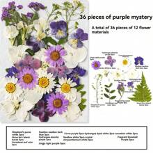 35pcs Dried Pressed Flowers For Resin Molds, Real Pressed Flowers Dry Leaves Kit For Art Crafts Resin Jewelry Making Scrapbook Supplies Card Making Soap Candle DIY Nails Decor| Valentine Day's Gift| Couple Gift| Christmas Gift Xmas Gift| Halloween Gift Decor
