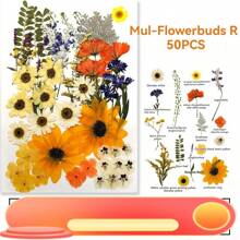 35pcs Dried Pressed Flowers For Resin Molds, Real Pressed Flowers Dry Leaves Kit For Art Crafts Resin Jewelry Making Scrapbook Supplies Card Making Soap Candle DIY Nails Decor| Valentine Day's Gift| Couple Gift| Christmas Gift Xmas Gift| Halloween Gift Decor