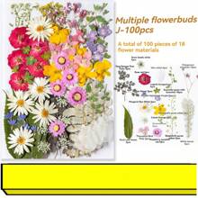 35pcs Dried Pressed Flowers For Resin Molds, Real Pressed Flowers Dry Leaves Kit For Art Crafts Resin Jewelry Making Scrapbook Supplies Card Making Soap Candle DIY Nails Decor| Valentine Day's Gift| Couple Gift| Christmas Gift Xmas Gift| Halloween Gift Decor