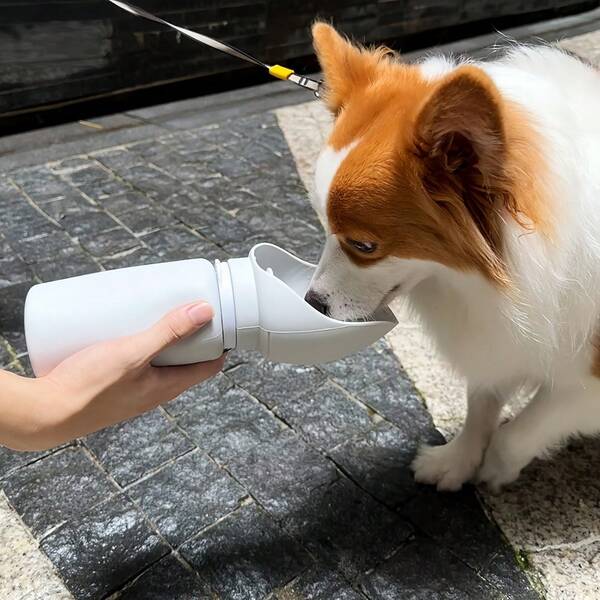 1 pieza Tazón de agua de silicona portátil y plegable para perros, fácil de limpiar