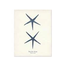 1 件复古海洋生物插图帆布海报水生生物印刷墙画适用于儿童房海军蓝海滩卧室家居装饰无框架 - 彩色 - 查看 22