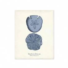 1 件复古海洋生物插图帆布海报水生生物印刷墙画适用于儿童房海军蓝海滩卧室家居装饰无框架 - 彩色 - 查看 42