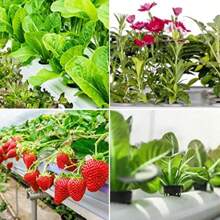 25PCS Taza de Red para Macetas Hidropónicas, Red de Malla Sin Suelo, Cesta para Cultivo de Plantas, Taza de Vivero, Cesta para Plantas de Jardín - 1 - Ver 4