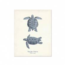 1 件复古海洋生物插图帆布海报水生生物印刷墙画适用于儿童房海军蓝海滩卧室家居装饰无框架 - 彩色 - 查看 20