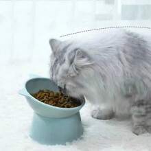 宠物喂食碗倾斜高底护颈防呛猫幼犬碗宠物碗斜口糖果色高脚碗护颈防磕碰狗食碗猫幼犬小型犬通用单碗 - 彩色 - 查看 12
