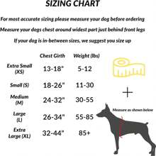 ShawnCo Essential Dog Harness, No-Pull Pet Vest With 3 Leash Clips, No Choke, Reflective, Adjustable And Padded, For Easy Walking And Training For Small, Medium And Large Dogs (Oceanic Blue, S) - 薑色 - 查看 9