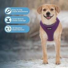 Aerolite - Arnés de malla para perro con cobertura de pecho ligera, suave, transpirable, costuras reflectantes y correas ajustables para caminar, correr, entrenar, resistente y duradero, color rojo, - Estilo 220 (morado) - Ver 4