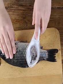 Raspador com coletor de escama de peixe/Retira escamas/DESCAMADOR de PEIXE - Multicolorido - Visão 11