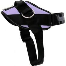 ShawnCo Essential Dog Harness, No-Pull Pet Vest With 3 Leash Clips, No Choke, Reflective, Adjustable And Padded, For Easy Walking And Training For Small, Medium And Large Dogs (Oceanic Blue, S) - 薑色 - 查看 1