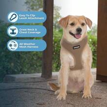 Aerolite - Arnés de malla para perro con cobertura de pecho ligera, suave, transpirable, costuras reflectantes y correas ajustables para caminar, correr, entrenar, resistente y duradero, color rojo, - Estilo 220 (Beige) - Ver 10