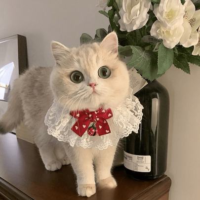 Cute Cat Bow Collar Breakaway Floral Aesthetic Cats Bowtie Collar Bow Tie With Bell For Indoor Cats Kitten And Small Dogs Puppies