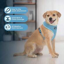 Aerolite - Arnés de malla para perro con cobertura de pecho ligera, suave, transpirable, costuras reflectantes y correas ajustables para caminar, correr, entrenar, resistente y duradero, color rojo, - Estilo 220 (Azul) - Ver 12