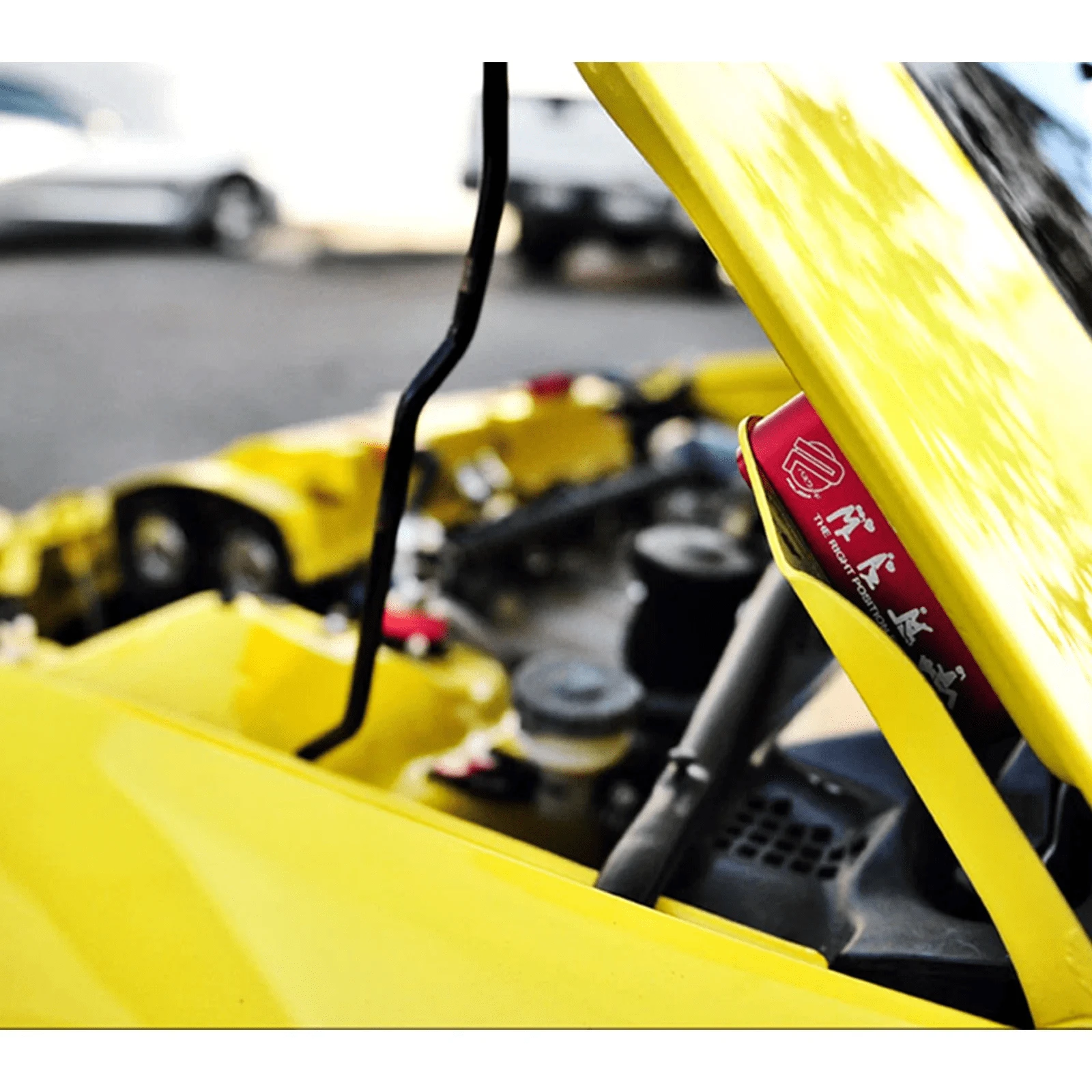 Antifaz Negro De Mujer Para Fiestas Elegantes - Buu Halloween