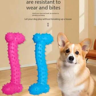 耐用狗狗磨牙玩具，带尖刺骨头设计，采用耐咬材料制成，有助于清洁狗狗牙齿