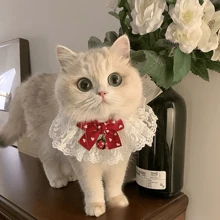 可爱猫咪蝴蝶结项圈可拆卸花卉美学猫咪蝴蝶结项圈蝴蝶结带铃铛适合室内猫咪、小猫和小型犬幼犬 - 彩色 - 查看 8
