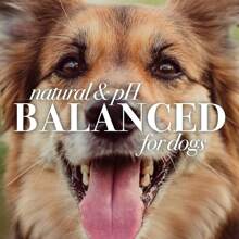 Toallitas húmedas multiusos totalmente naturales para perros de, 50 unidades - Toallitas para cachorros - Ver 12