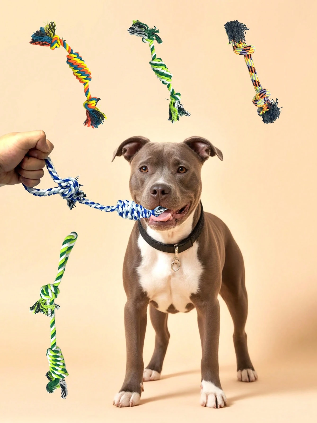 LECHONG Confezione Da 5 Giocattoli Cigolanti Per Cani, Giocattoli - Foto 10