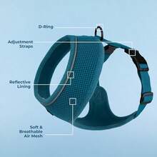 Reflective Gear - Style 220 (turquoise) - View 12