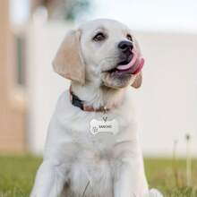 A Personalized Engraved Dog ID Tag, Custom Engraved Dog Bone Shape Name Tag For Puppy Medium Puppy With Phone Number, Custom Engraved Metal Dog Tag - Personalized Bone Shape Pet ID Tag For Home And Outdoors, Classic Style, Wall Mounted, Home Sculpture Wall Decor
