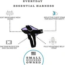 ShawnCo Essential Dog Harness, No-Pull Pet Vest With 3 Leash Clips, No Choke, Reflective, Adjustable And Padded, For Easy Walking And Training For Small, Medium And Large Dogs (Oceanic Blue, S) - 薑色 - 查看 2
