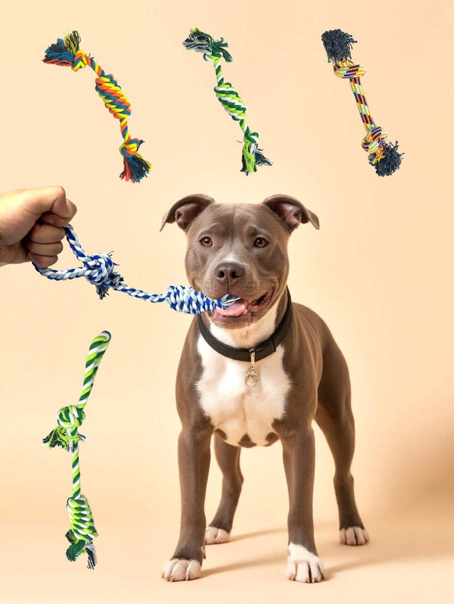 Petelligent Lot De 3 Jouets à Mâcher En Corde Courbée Pour Chat Et