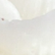 Màu be