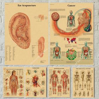 1 pièce Affiches d'art mural sans cadre, citations vintages rétro. Affiches des systèmes d' du corps humain, squelette anatomique, impressions sur papier kraft. Décoration murale d'art vintage pour la maison et la pièce, peintures