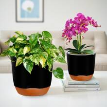 1PC Simple Double Layer Orchid Planter With Removable Liner, Double Layer Perforated Plant Planter, Slouchy Planter, Creative Desktop Centerpiece - Home Decorative Ornament, Outdoor And Garden Decoration, Office Decoration Gifts Birthday Graduation Vase Room Decor Flower Vase Glass Vase